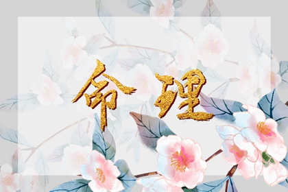 火土金取名 宝宝取名查询 测五行取名 儿童取名大全 取名测分打分